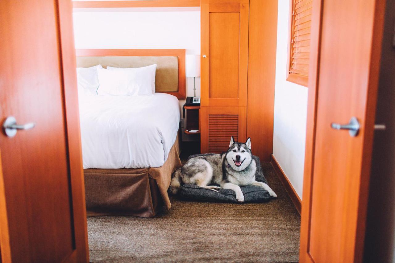 One Bedroom Upper Floor Suite,1212818188:JPEG